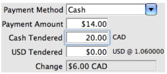 Payment Amount field