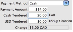 Payment Amount Field