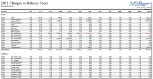 Balance Sheet Detail - Monthly for Current Year